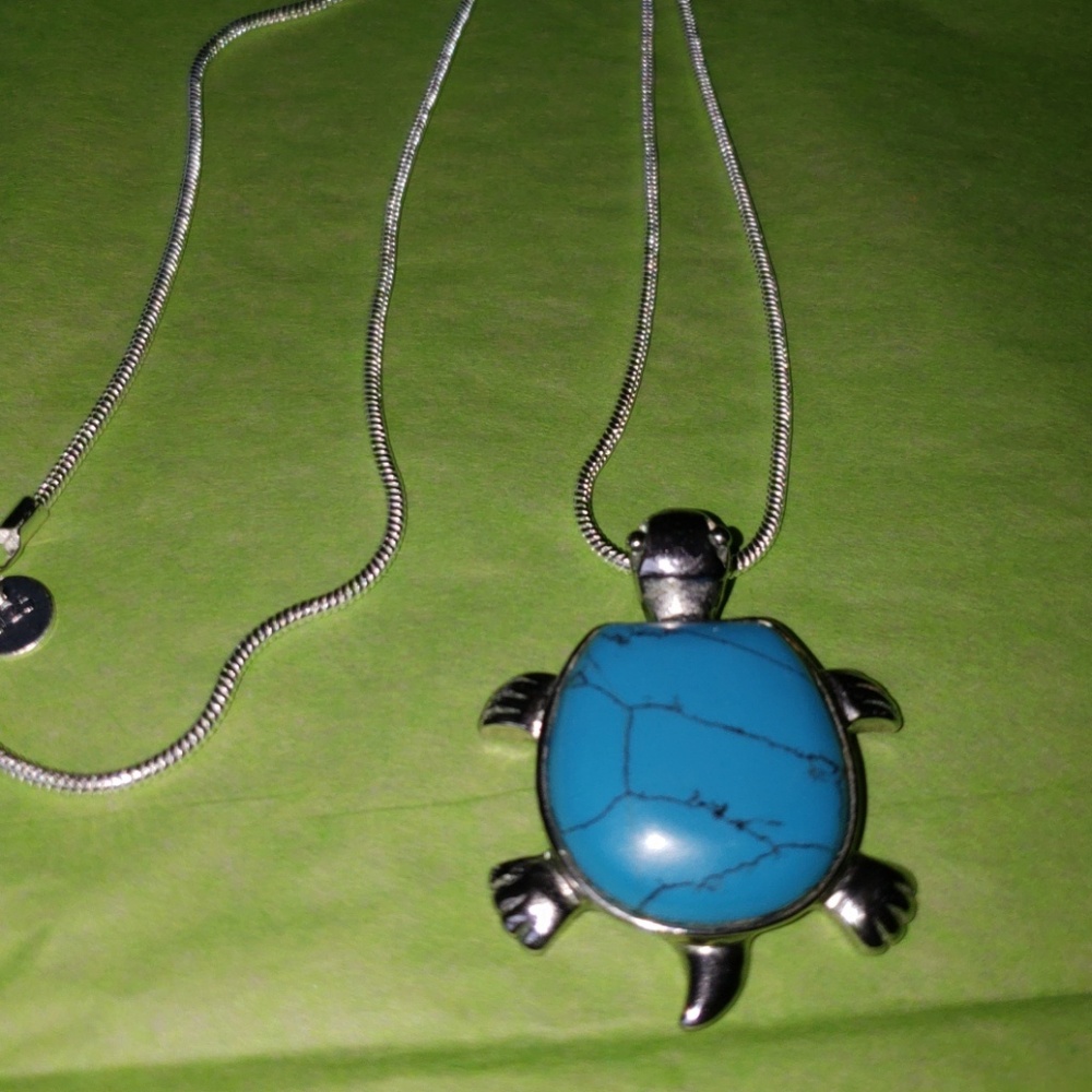 TURQ TURTLE SET IN SILVER